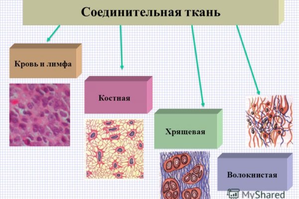 Не могу зайти на кракен